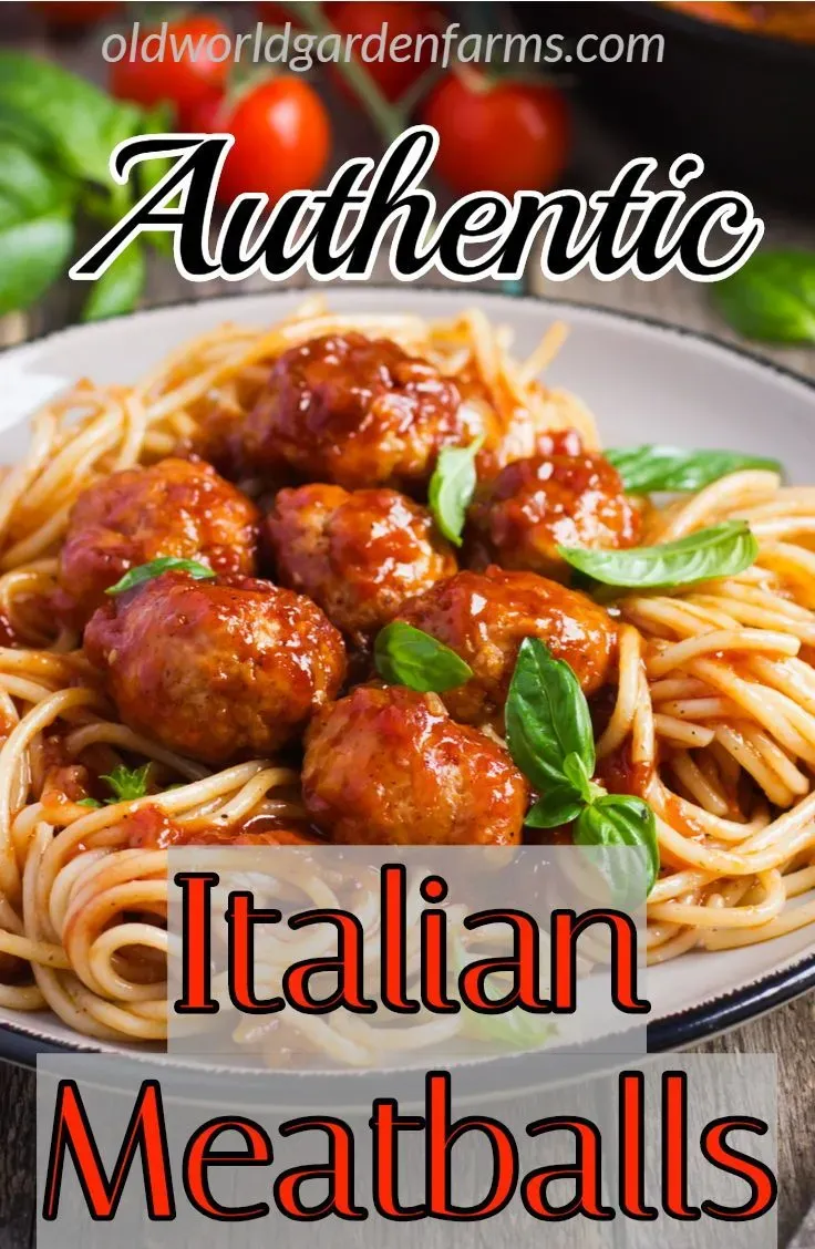 Gathering the Goods for Mama's Italian Meatball Recipe